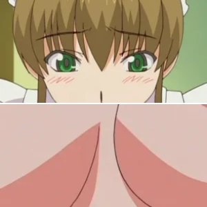 Maid in Heaven SuperS
