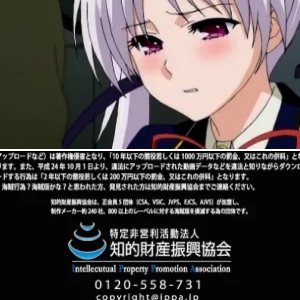 Ojou-sama Yomeiri Kousou!