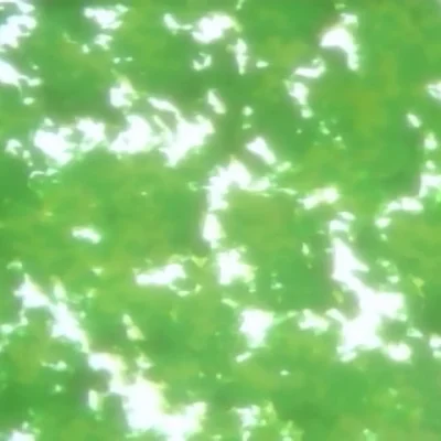 Fencer of Minerva Episode 01