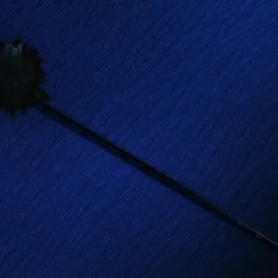 Taimanin Asagi 2 Episode 01